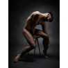 The Male Muse Livre photo INSPIRO n°3